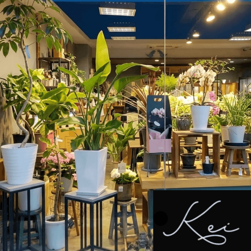 生駒駅南エリアからの参加店。お花。