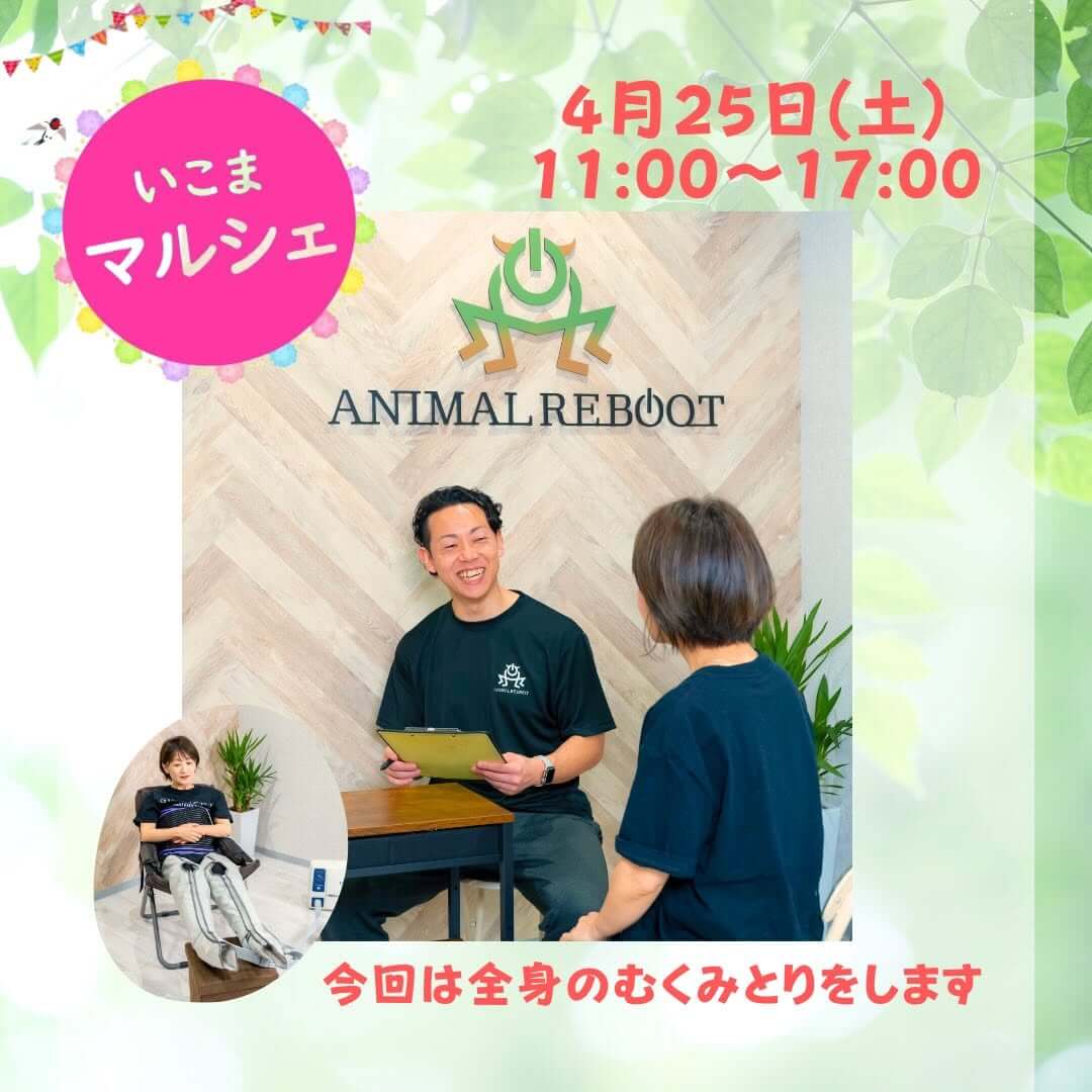 shin_animal_reboot