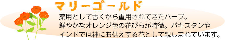 手作りハーブ石けんキット