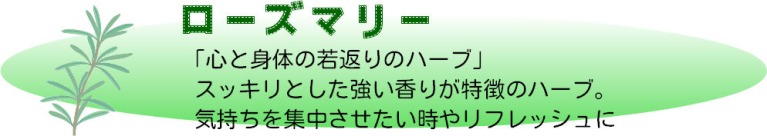 手作りハーブ石けんキット