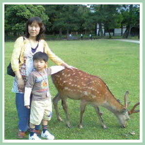 奈良公園で