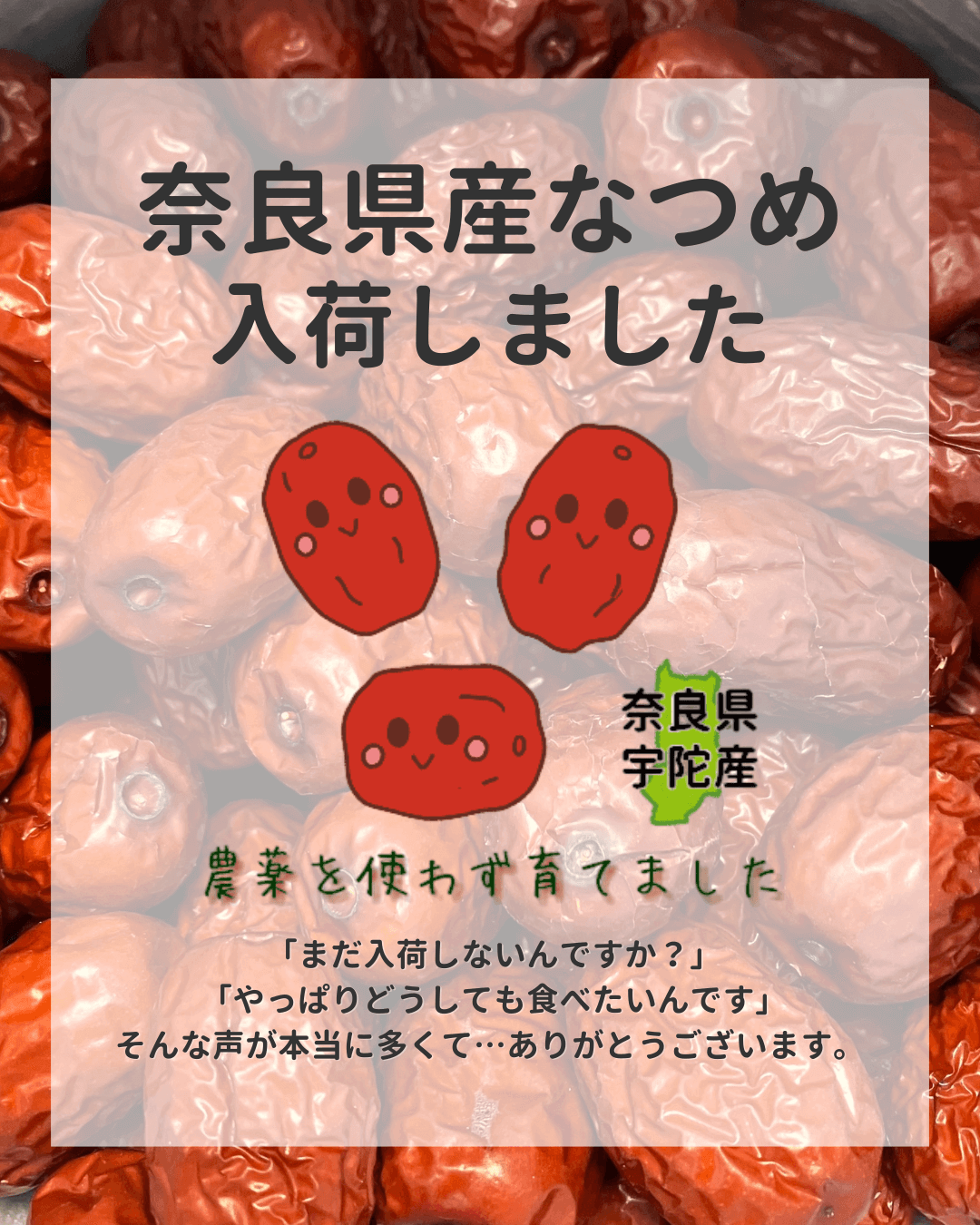 なつめmama様専用 なつめmama様専用