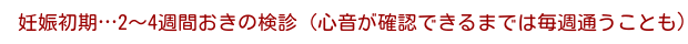 妊娠初期…2~4週間おきの検診(心音が確認できるまでは毎週通うことも)